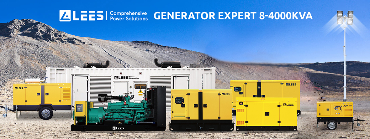 LEES发电机